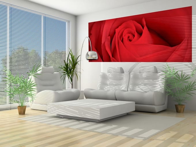 Flower Rose  Photo Wallcovering