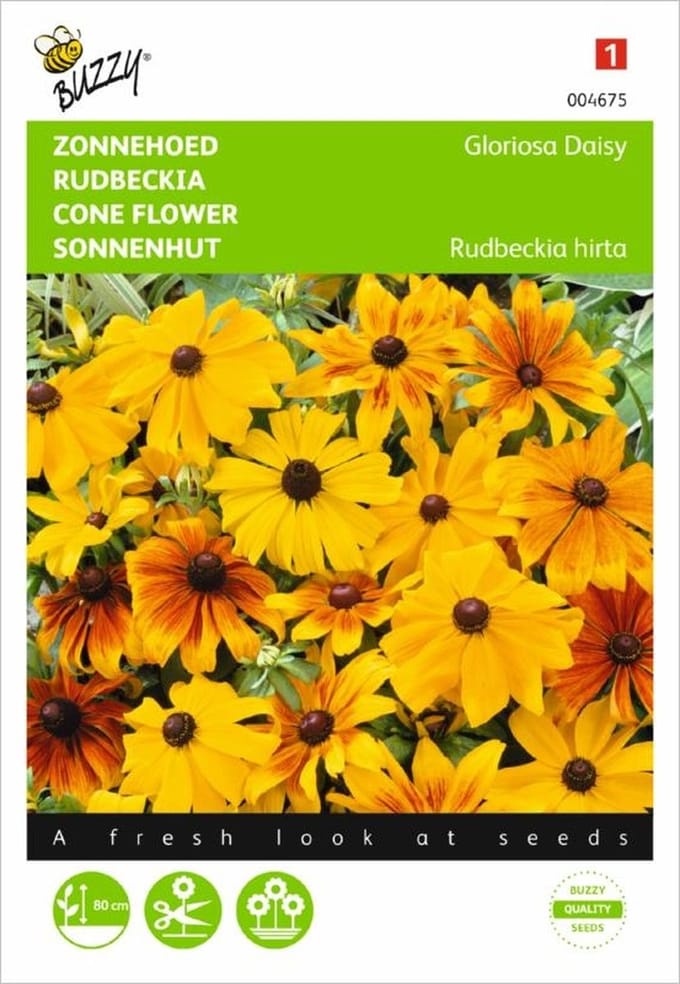 Buzzy Seeds - Rudbeckia Gloriosa Daisy mix