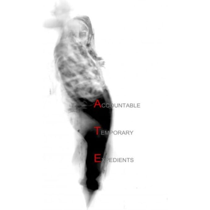 Accountable Temporary Expedients - Irina Baldini