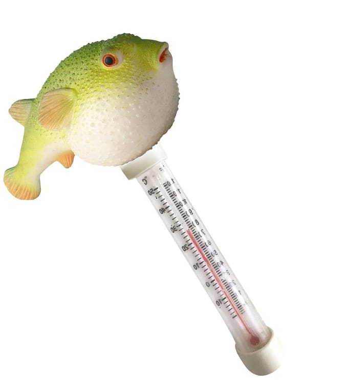 Digitale Waterthermometer - Temperatuurmeter Zwembad - Water Temperatuur - Groot Display - 20 Centimeter - Dolfijn
