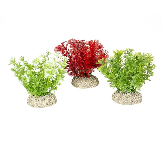 Aquarium planten decoratie Aqua Della Hottonia