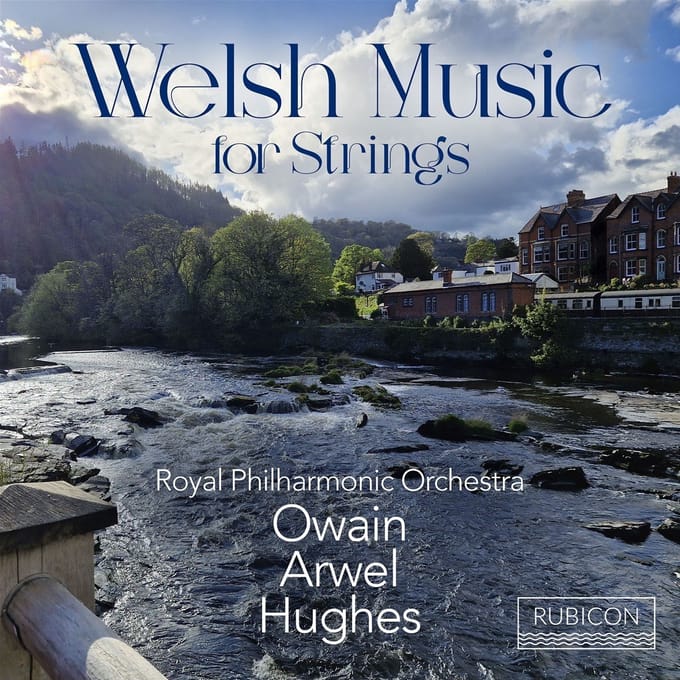 Royal Philharmonic Orchestra & Owain Arwel Hughes - Welsh Music For Strings (CD)