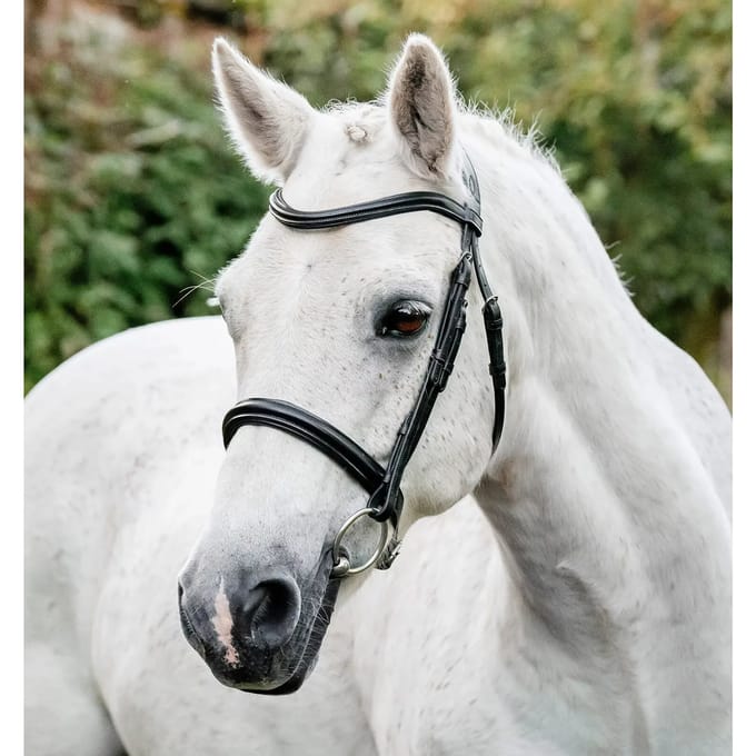 Ponyzadelsluiting Horseware