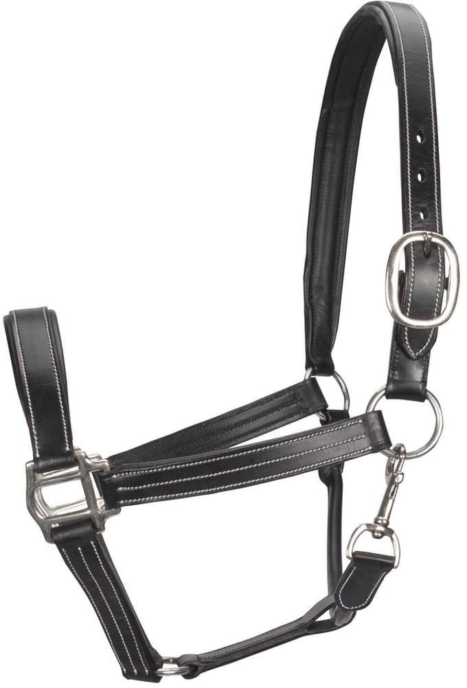 Pagony Monaco II Halster - Maat: Pony - Zwart - Leer