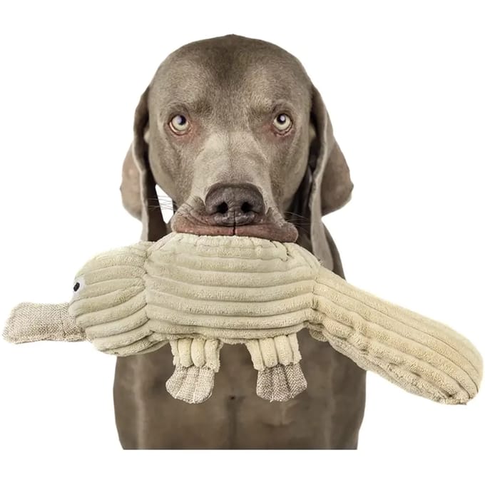 Pluche speelgoed voor honden Nobby Pet Schnabeltier