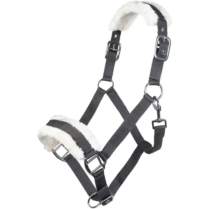 Bont halster voor paard HKM Bischofshofen