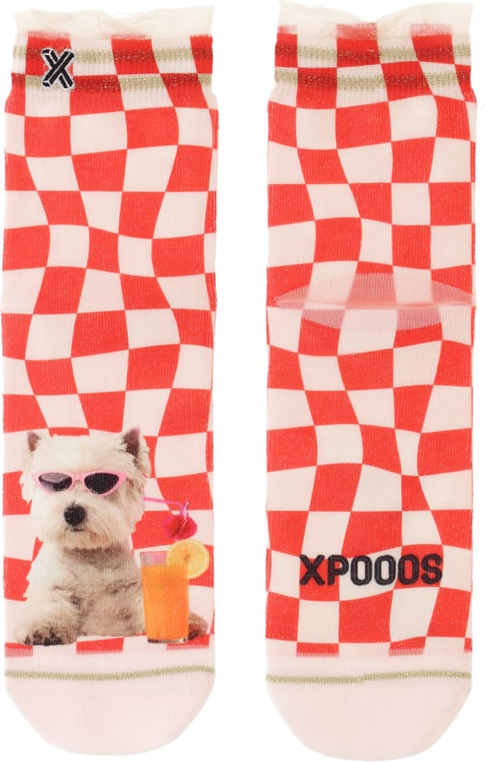 XPOOOS - Cocktail Hour Dames Sokken - 1-Pack - Maat One Size