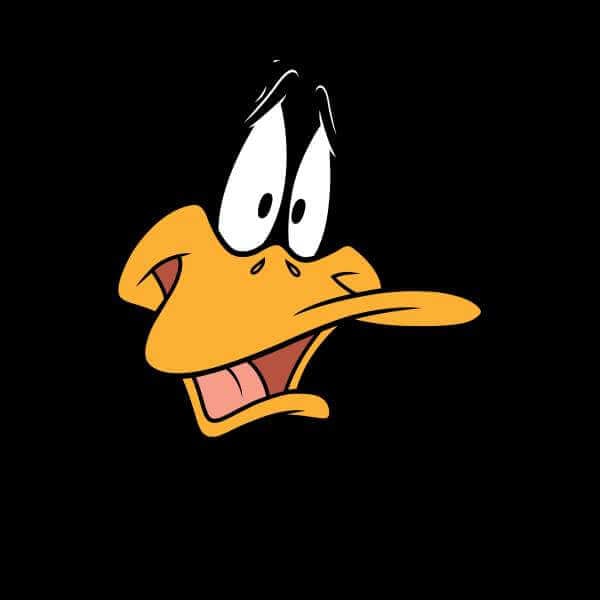 Looney Tunes Daffy Duck Face Trui - Zwart - M
