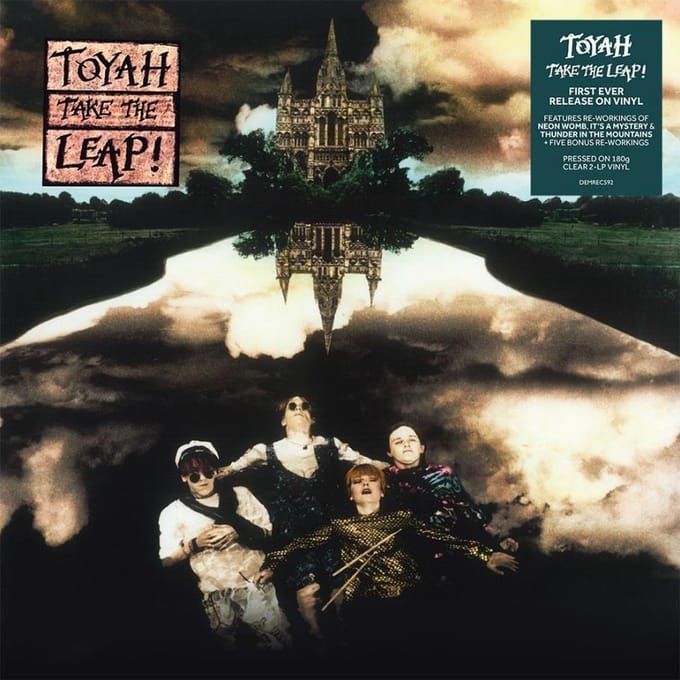 Take The Leap... Plus (Clear Vinyl)