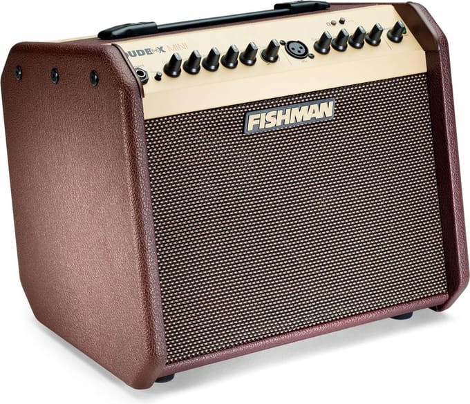 Fishman Loudbox Mini - Akoestische Versterker - 60 Watt - Bluetooth - 2 Kanalen