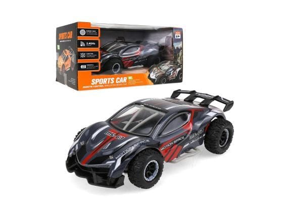 Raceauto 1:24 RC RC Auto's