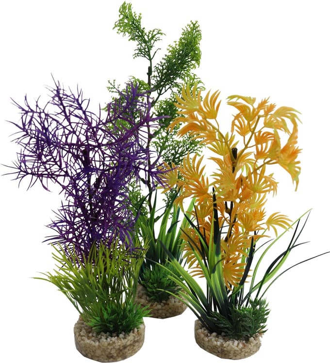 Aquarium Plant 349701 medium