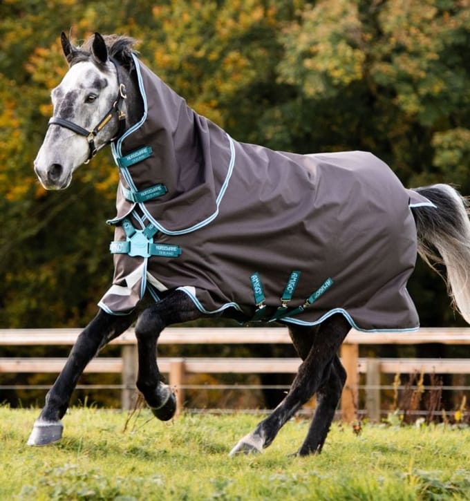 Horseware Amigo Bravo 12 Plus (Disc Front) Turnout 250g 170 Bleu