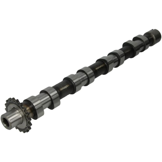 Nokkenas  AE CAM748