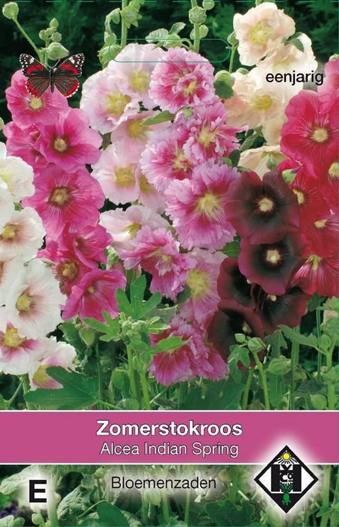 2 stuks Van Hemert & Co Alcea rosea annua Indian Spring