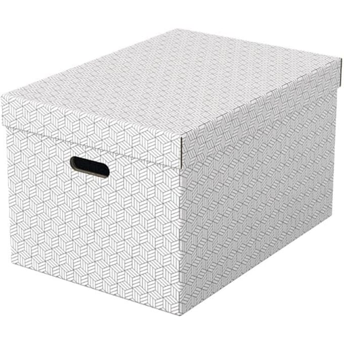 Esselte Home Grote Opbergdoos met Deksel - Set van 3 Stuks - 100% Gerecycled Karton en 100% Recyclebaar - Wit