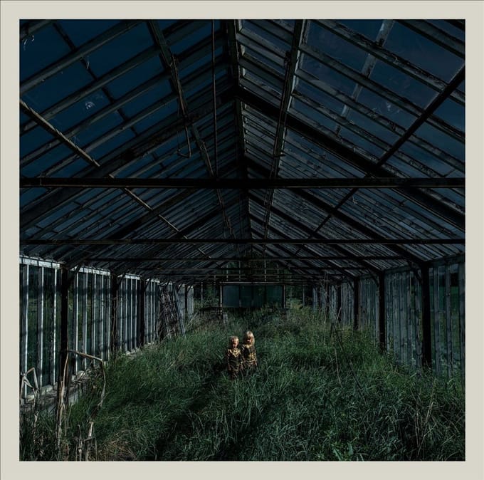 Dealer - Foxing