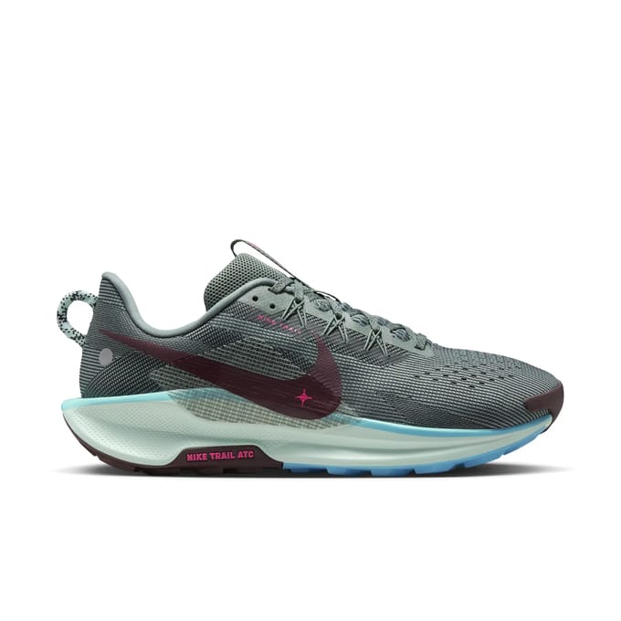 Hardloopschoenen Nike Pegasus Trail 5
