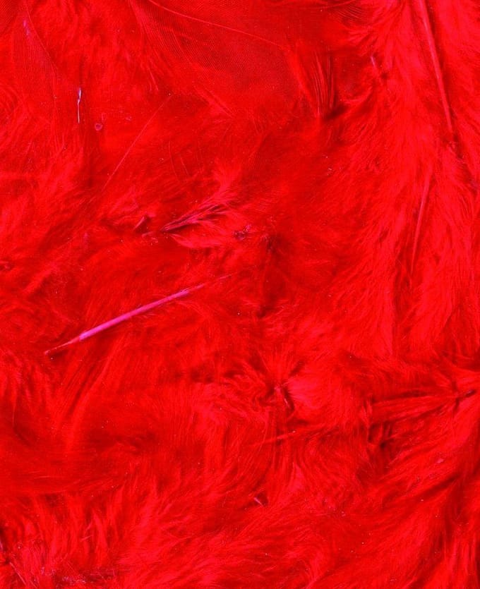 Artemio Pluimen 3 Gr Rood