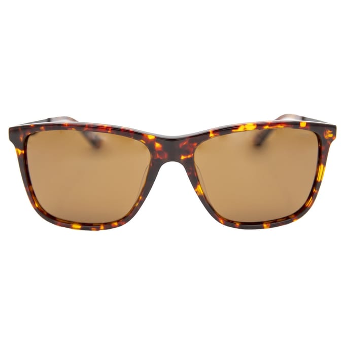Gentz® - The Vector - Polariserend - ontspiegeld - kraswerend
