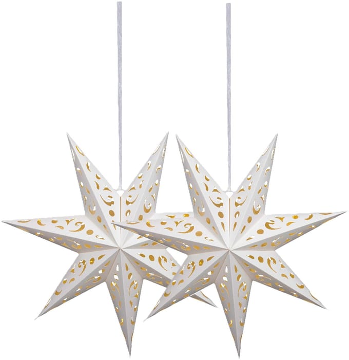 Lumineo Verlichte kerstster - 2x - wit - D38 cm - papier - LED - warm wit - steady light - timer - binnen - op batterijen