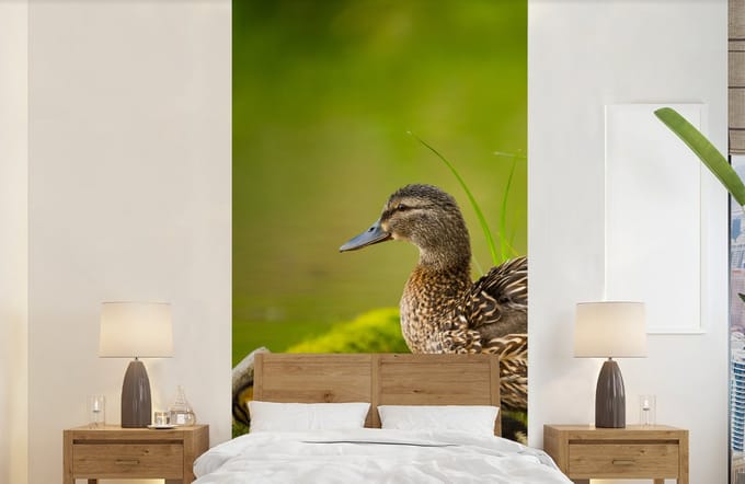 Behang - Fotobehang Eend - Vogels - Water - Tak - Mos - Breedte 120 cm x hoogte 240 cm