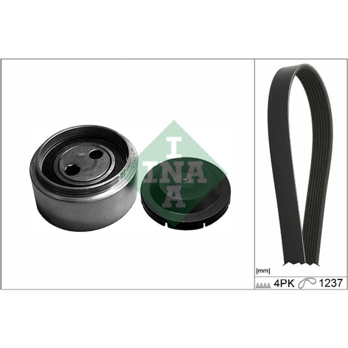 Schaeffler Ina Poly V-riem set INA 529 0087 10