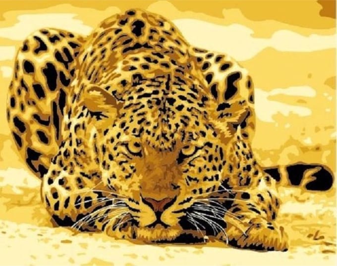 Schilderen op nummer - PBN-5441 - Panther
