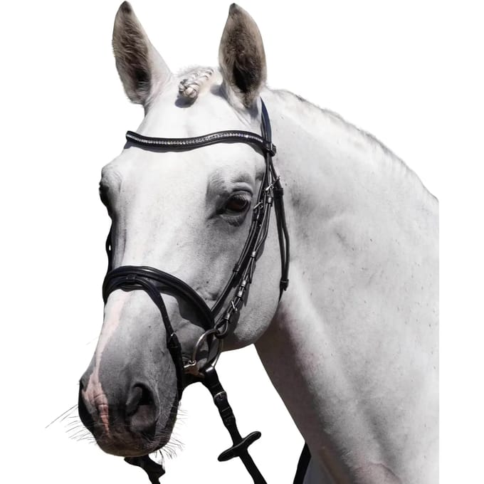 Riem voor paardrijden Premier Equine Rivere