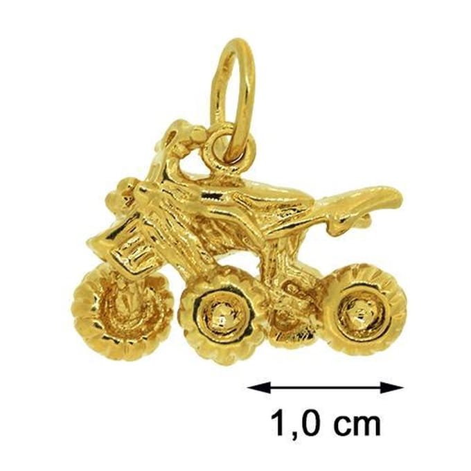 Blinx Jewels Vergulden Hanger Quad