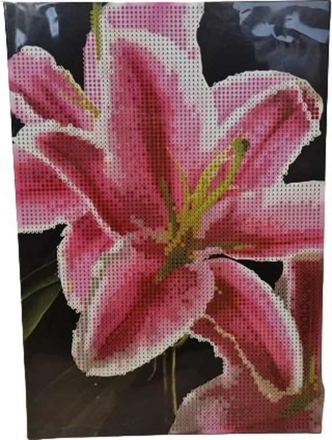 Grafix Diamond Painting op karton A4 21x29cm (Bloem)