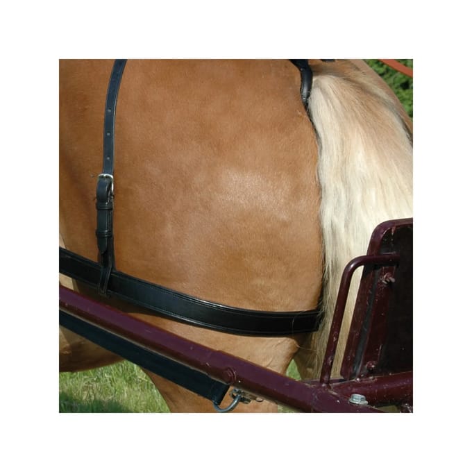 Dijriem voor paarden Chetak