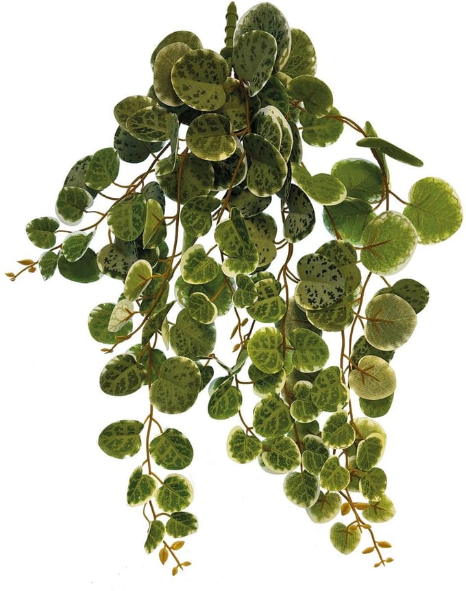 Repto Plant hanging Round Leaves - Kunstplant Terrarium