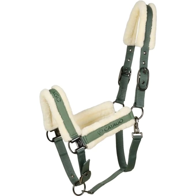 Bont halster voor paard Catago Laurel Wreath