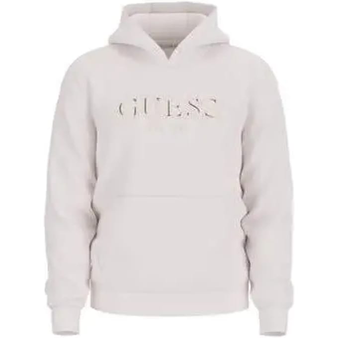 Guess Basic Hoodie Grijs S Man