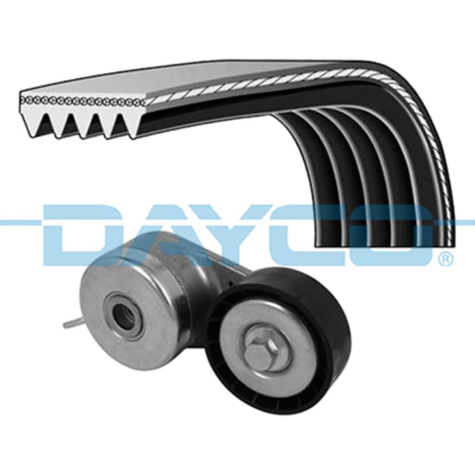 Poly V-riem set DAYCO KPV384