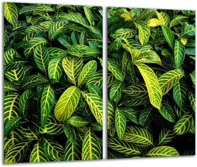TMK ArtDeko - Snijplank - Groen - Glas - 30x52cm