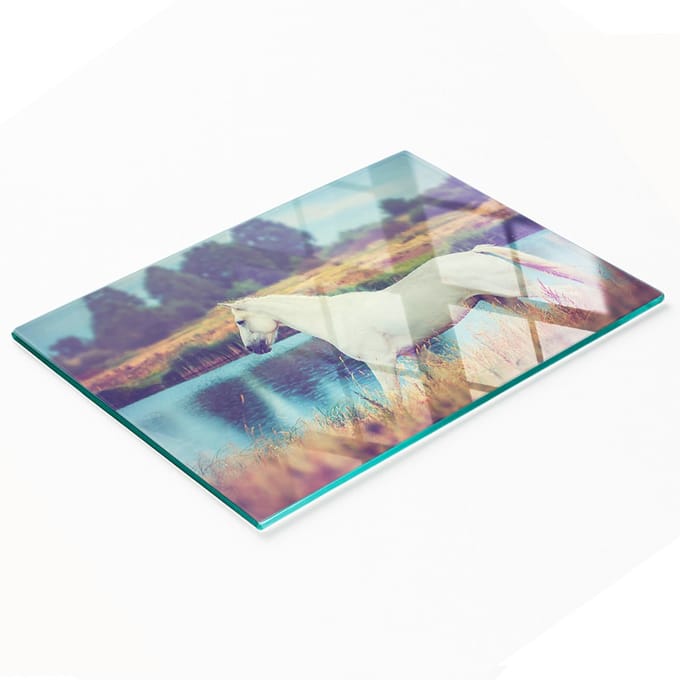 Glazen serveerplank met afbeelding van het Schimmelmeer, 80x52 cm