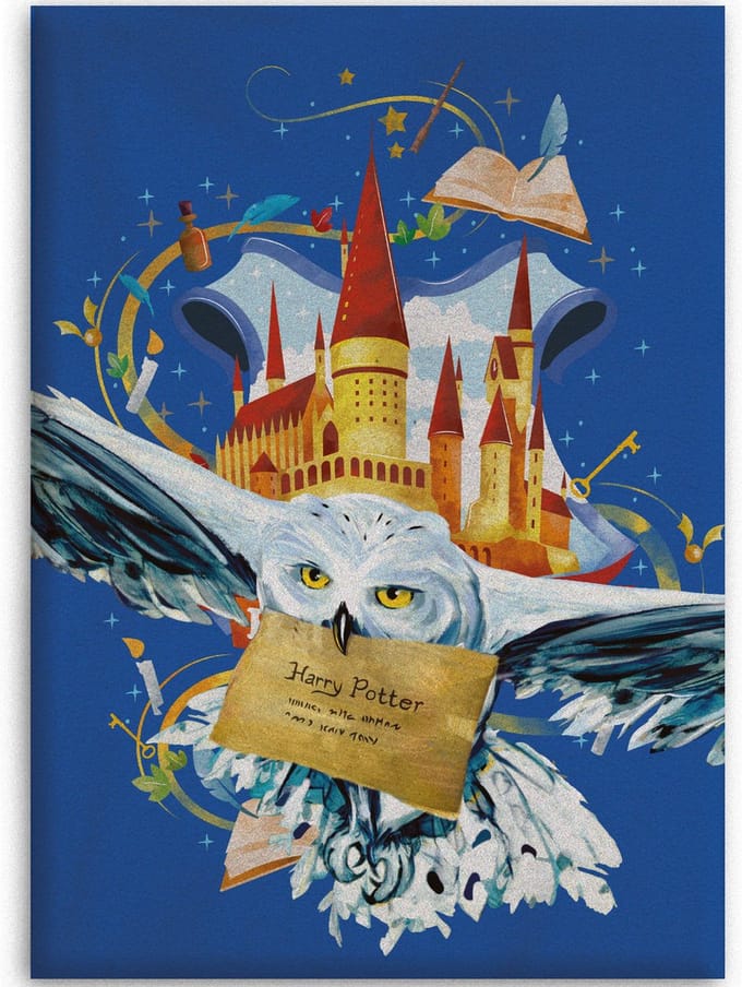Harry Potter fleecedekens Hedwig 110 x 140 cm