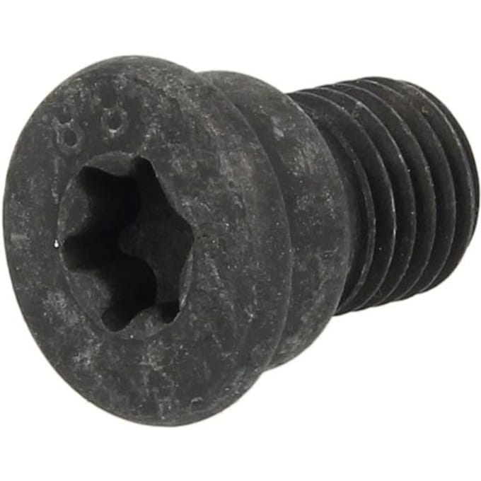 Schroef, remschijf DELPHI BGK007