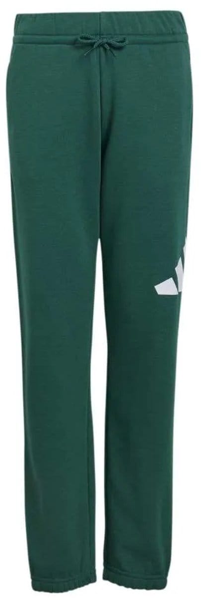Adidas Essentials Big Logo French Terry Joggers Groen 9-10 Years Kinderen