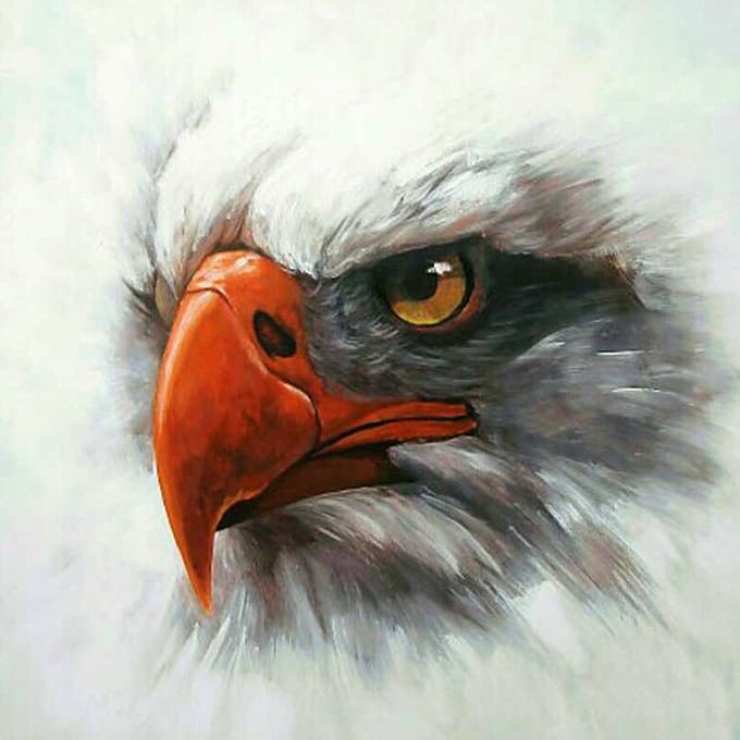 Diamond painting 40x50cm - eagle hoofd - ronde steentjes