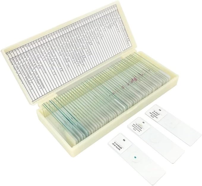 Microscoop Objectglaasjes - Voorbereide Lades - Wetenschappelijk Onderzoek - Optisch Glas - 50 Stuks - Transparant