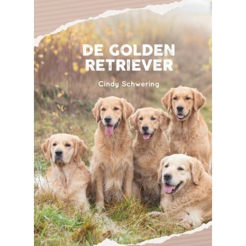 De Golden Retriever - Cindy Schwering
