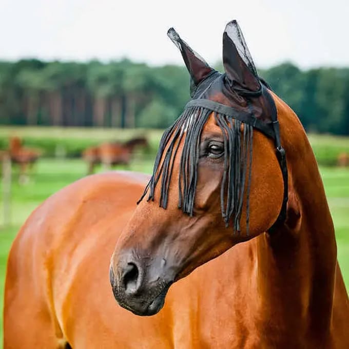 Vliegendek voor paarden met oorbescherming Horze
