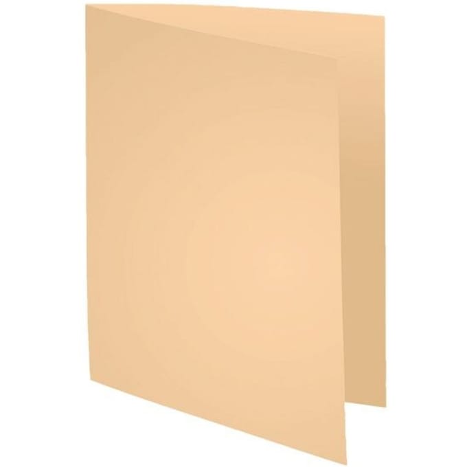 Exacompta FOREVER 170 - Pak van 100 dossiermappen 170g/m2- 24x32cm voor A4. - Gems - 420002E