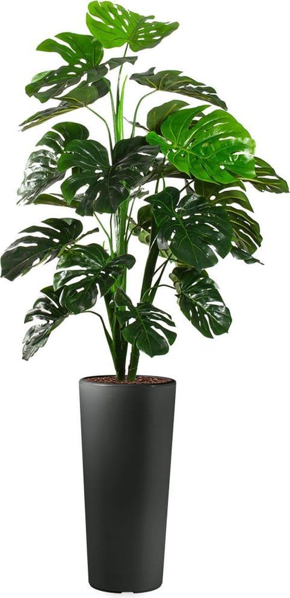 HTT - Kunstplant Monstera in Clou rond antraciet H185 cm