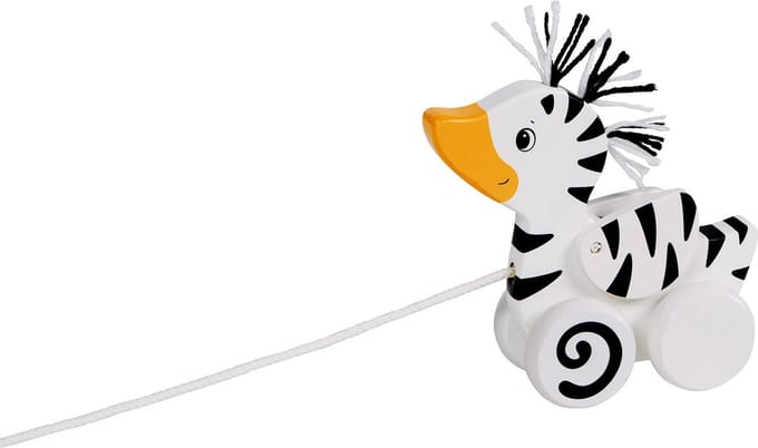 Trekdier - Zebra-Eend