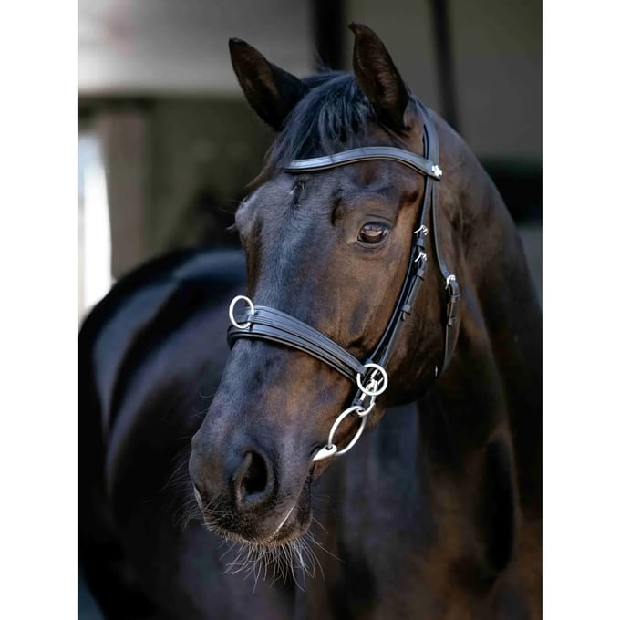 Paardenbox LeMieux