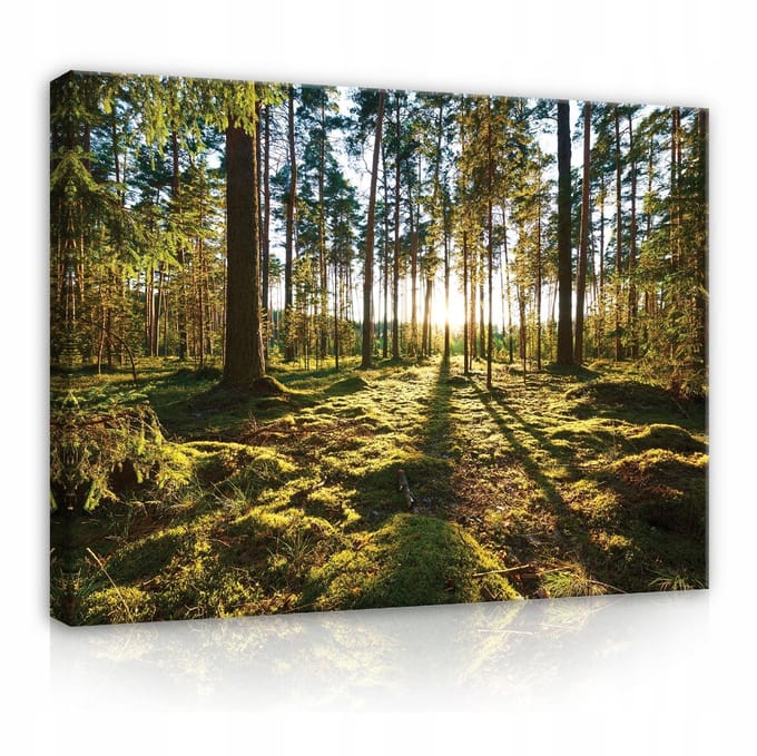 WALLARENA - Canvas schilderij - 100x70 cm - afbeelding van een bos met bomen, natuur